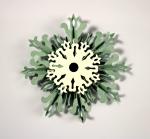 Rosette Snowflake