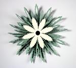 Rosette Snowflake