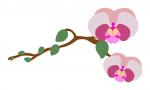 Orchid Branch