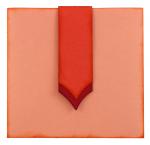 CD Collection Tag Band Case