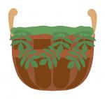 Flower Basket
