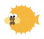 Puffer Fish