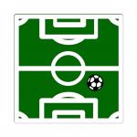 Soccer Field Overlay