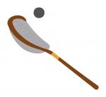 Lacrosse Stick & Ball