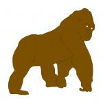 Gorilla