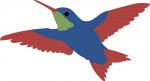 Humming Bird