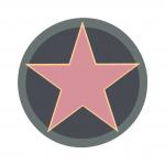 Hollywood Star
