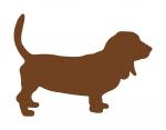 Basset Hound