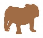 Bulldog
