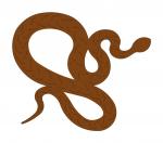 Curled Snake
