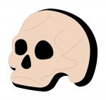 Bone Skull