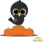 Crow on Pumpkins