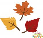 Fall Leaves