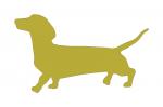 Dachsund