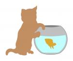 Kitten and Fish Bowl