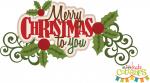 Merry Christmas to You