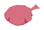 Whoopie Cushion