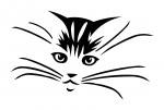 Cat Face
