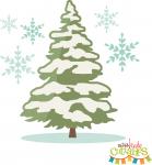 Winter Pine Tree