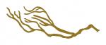 Rustic Branch