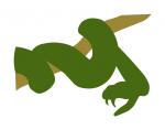 Snake on Branch