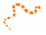 Striped Snake