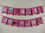 V Day Advent Banner