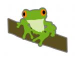 Tree Frog