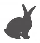 Realistic Rabbit Silhouette