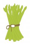 Asparagus