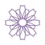 Beautiful Blossom Dainty Daisy