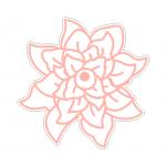 Beautiful Blossom Pretty Peony