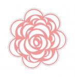 Beautiful Blossom Ravishing Rose