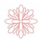 Beautiful Blossom Wonderful Wildflower