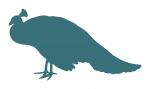 Peacock Silhouette