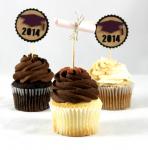 Graduation Cupcake Picks