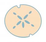 Sand Dollar