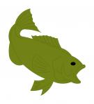 Small Mouth Bass