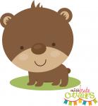 Cute Bear