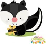 Cute Skunk