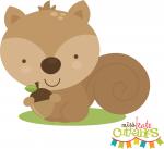 Cute Squirrel