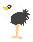 Ostrich