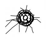 Tech Bytes Screen Shatter