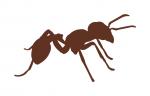 Backyard Bugz Ant