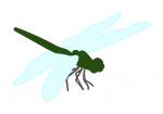 Backyard Bugz Dragonfly