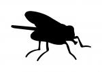 Backyard Bugz Fly