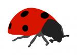 Backyard Bugz Ladybug