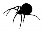 Backyard Bugz Scary Spider