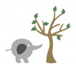 Elephant Tree