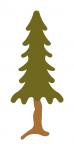 Forest Tree